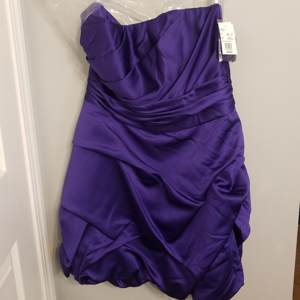 David's bridal bridesmaid dress Regency 12